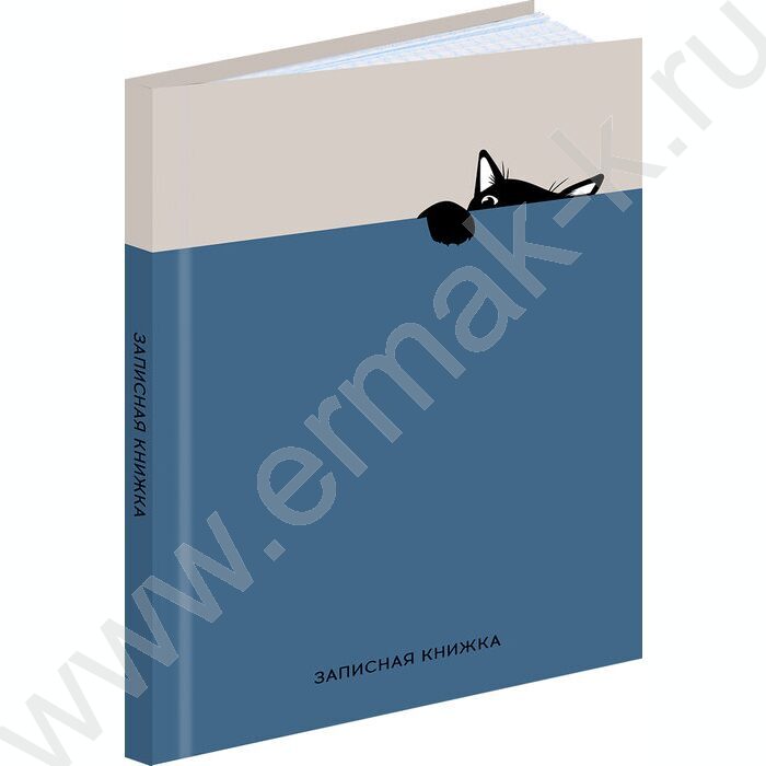Зап. книжка  80л А5 тв.обл. "Забавный чёрный кот-3" /глянец/ | Фото 1