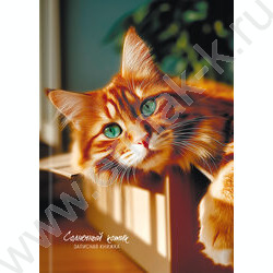 Зап. книжка  80л А5 тв.обл. "Милые коты-4" /глянец/лен/без линовки/ NEW | Фото 2