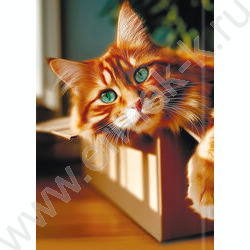 Зап. книжка  80л А5 тв.обл. "Милые коты-4" /глянец/лен/без линовки/ NEW | Фото 4