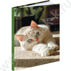 Зап. книжка 160л А5 тв.обл. "Милые коты-5" /глянец/ NEW | Фото 1