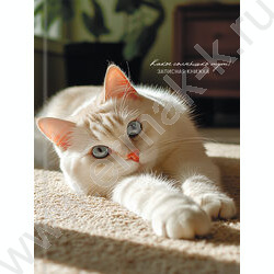 Зап. книжка 160л А5 тв.обл. "Милые коты-5" /глянец/ NEW | Фото 2