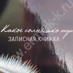Зап. книжка 160л А5 тв.обл. "Милые коты-5" /глянец/ NEW | Фото 5