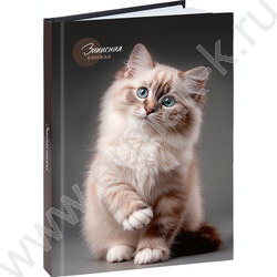 Зап. книжка 160л А5 тв.обл. "Красивый кот-1" /глянец/лен/ NEW | Фото 1