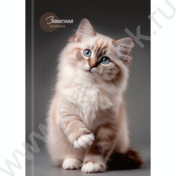 Зап. книжка 160л А5 тв.обл. "Красивый кот-1" /глянец/лен/ NEW | Фото 2