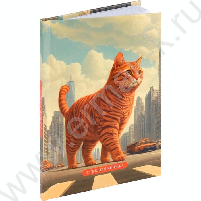 Зап. книжка  48л А6 тв.обл. "Милый котик-3" /глянец/ | Фото 1