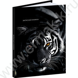 Зап. книжка  48л А6 тв.обл. "Тигр в зарослях-1" /глянец/ NEW | Фото 1