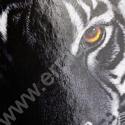 Зап. книжка  48л А6 тв.обл. "Тигр в зарослях-1" /глянец/ NEW | Фото 5