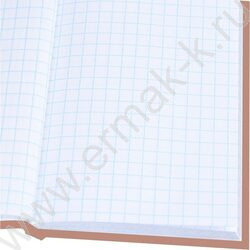 Зап. книжка  48л А6 тв.обл. "Баланс" /глянец/лен/ NEW | Фото 3