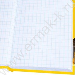 Зап. книжка  48л А6 тв.обл. "Два чёрных котика" /глянец/лен/ NEW | Фото 3