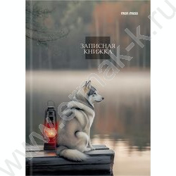 Зап. книжка  64л А6 тв.обл. "Aesthetics" /глянец/ NEW | Фото 2