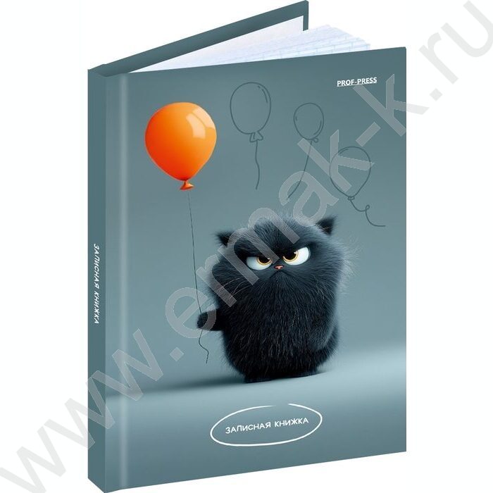 Зап. книжка  64л А6 тв.обл. "Угрюмый котик" /глянец/ | Фото 1