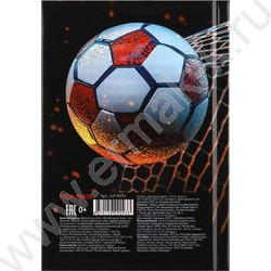Зап. книжка  64л А6 тв.обл. "Футбольная тема-6" /глянец/ NEW | Фото 4