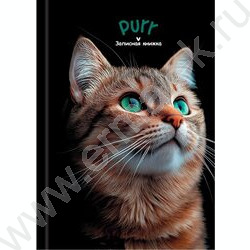 Зап. книжка 160л А6 тв.обл. "Зеленоглазый котик-2" /глянец/лен/ NEW | Фото 2