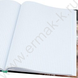 Зап. книжка 160л А6 тв.обл. "Зеленоглазый котик-2" /глянец/лен/ NEW | Фото 3