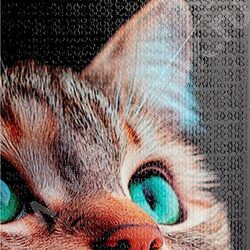 Зап. книжка 160л А6 тв.обл. "Зеленоглазый котик-2" /глянец/лен/ NEW | Фото 5