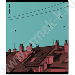 Тетрадь  48л клетка "Flash" /печать пантоном /ассорти NEW | Фото 4