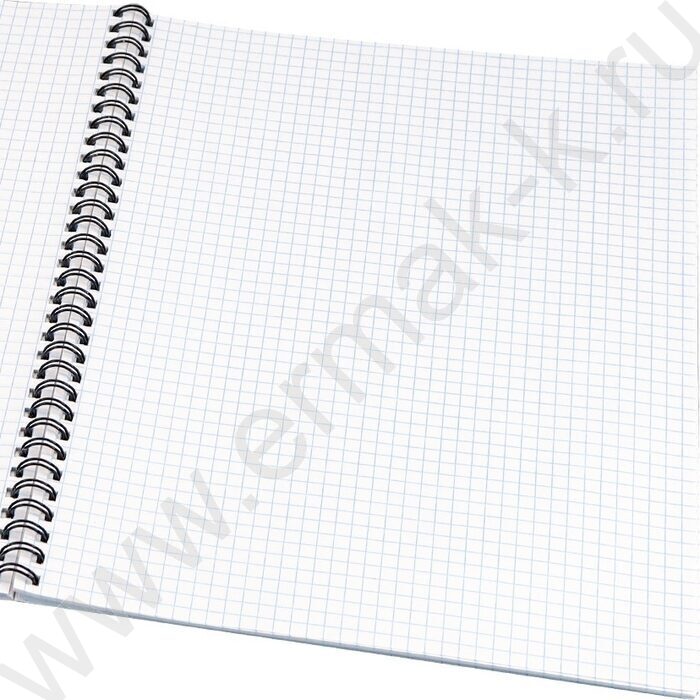 Тетрадь  96л А4 клетка/спираль "Архитектурные шедевры-1" /твин-лак/ | Фото 2