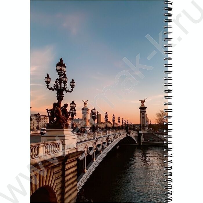 Тетрадь  96л А4 клетка/спираль "Архитектурные шедевры-1" /твин-лак/ | Фото 3