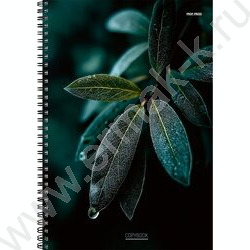 Тетрадь  96л А4 клетка/спираль "Роса" /твин-лак/ NEW | Фото 1