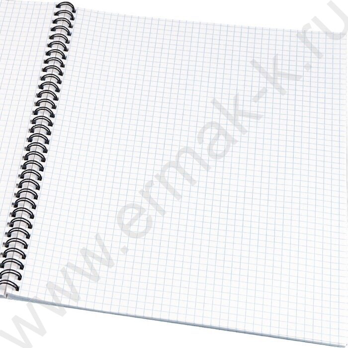 Тетрадь  96л А4 клетка/спираль "Роса" /твин-лак/ | Фото 2