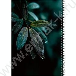 Тетрадь  96л А4 клетка/спираль "Роса" /твин-лак/ NEW | Фото 3