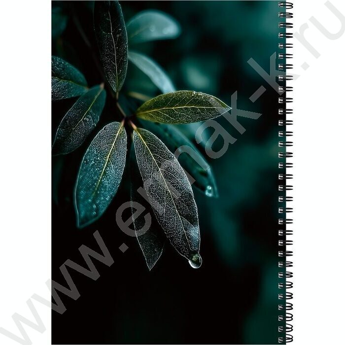 Тетрадь  96л А4 клетка/спираль "Роса" /твин-лак/ | Фото 3