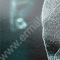 Тетрадь  96л А4 клетка/спираль "Роса" /твин-лак/ NEW | Фото 4