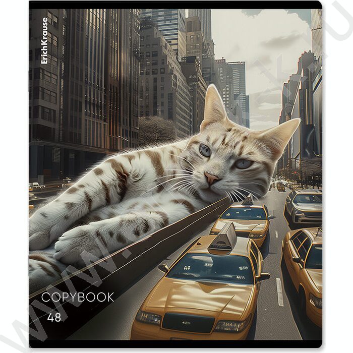 Тетрадь  48л клетка "Big City Cats" /глянц.лам. /ассорти | Фото 2