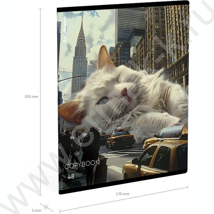 Тетрадь  48л клетка "Big City Cats" /глянц.лам. /ассорти | Фото 4