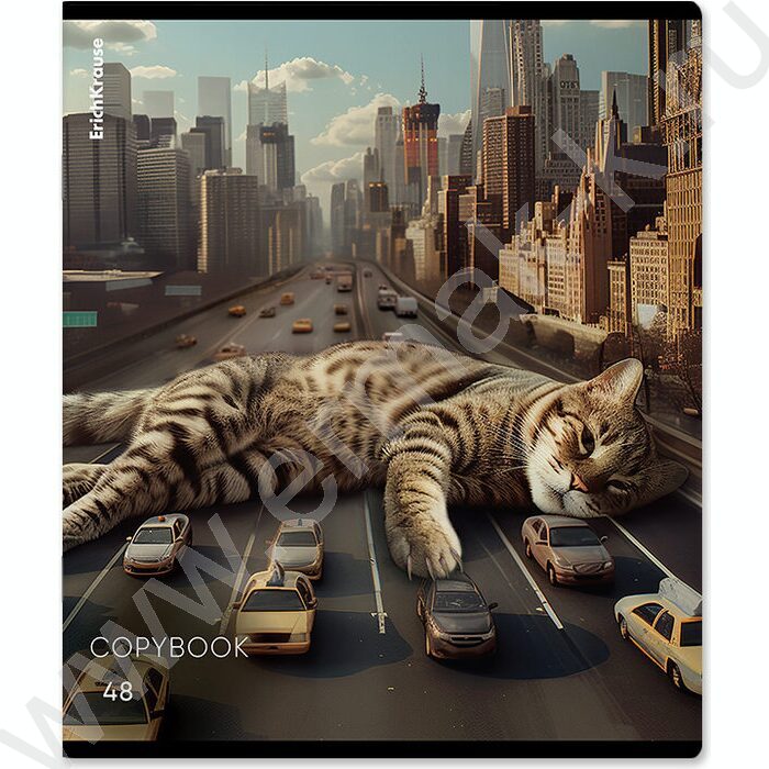 Тетрадь  48л клетка "Big City Cats" /глянц.лам. /ассорти | Фото 7