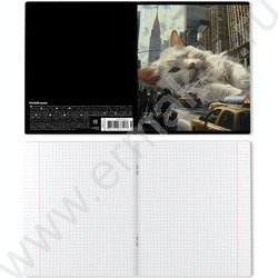 Тетрадь  48л клетка "Big City Cats" /глянц.лам. /ассорти NEW | Фото 8