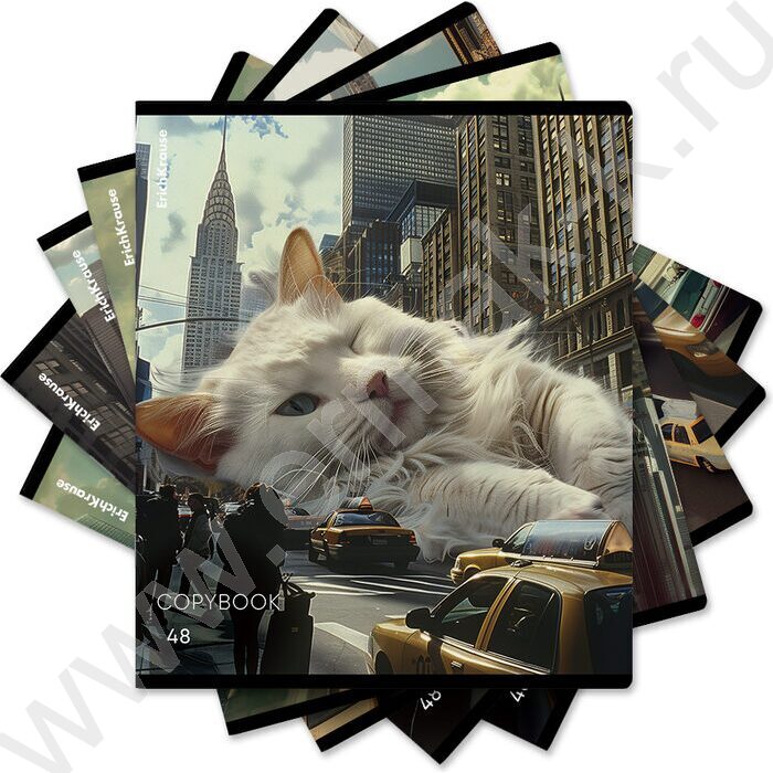 Тетрадь  48л клетка "Big City Cats" /глянц.лам. /ассорти | Фото 9
