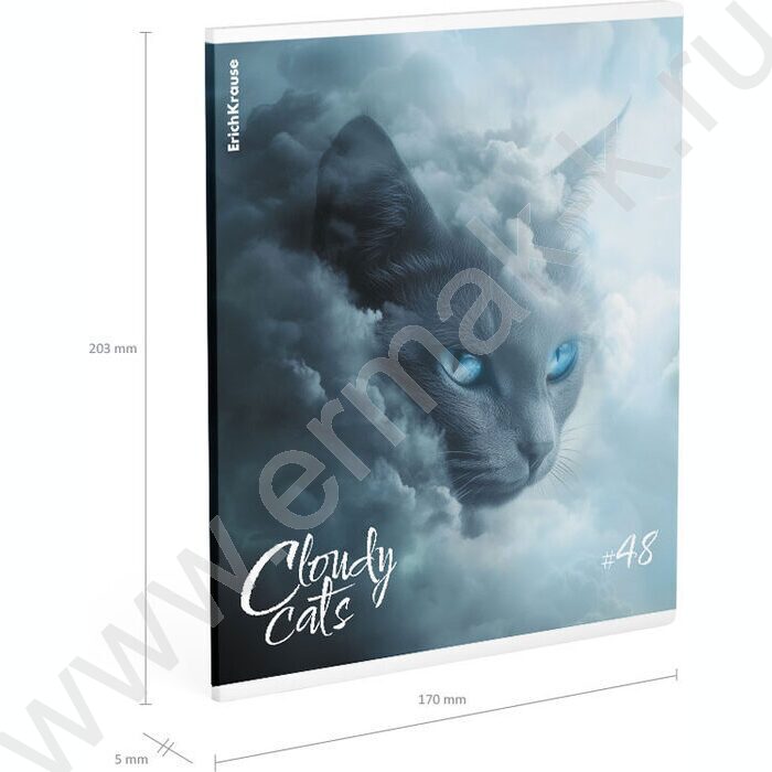 Тетрадь  48л клетка "Cloudy Cats" /мат.лам. /ассорти | Фото 8