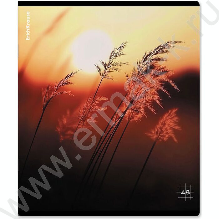 Тетрадь  48л клетка "Macro Nature" /мат.лам. /ассорти | Фото 3