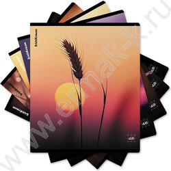 Тетрадь  48л клетка "Macro Nature" /мат.лам. /ассорти NEW | Фото 9