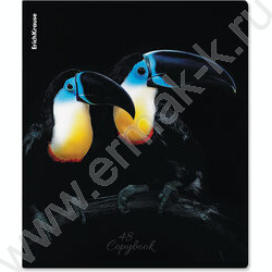 Тетрадь  48л клетка "Attention" /мат.лам. + выбор. УФ-лак /ассорти NEW | Фото 2