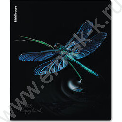 Тетрадь  48л клетка "Attention" /мат.лам. + выбор. УФ-лак /ассорти NEW | Фото 4