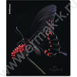 Тетрадь  48л клетка "Attention" /мат.лам. + выбор. УФ-лак /ассорти NEW | Фото 5