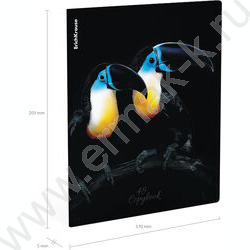 Тетрадь  48л клетка "Attention" /мат.лам. + выбор. УФ-лак /ассорти NEW | Фото 8