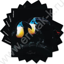 Тетрадь  48л клетка "Attention" /мат.лам. + выбор. УФ-лак /ассорти NEW | Фото 9