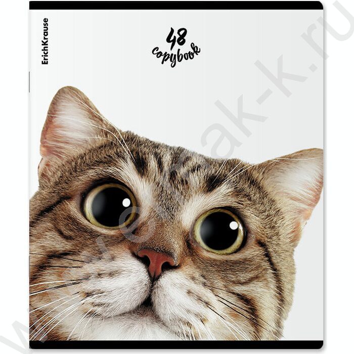 Тетрадь  48л клетка "Котики" /мат.лам. + выбор. УФ-лак /ассорти | Фото 2