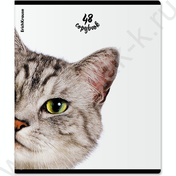 Тетрадь  48л клетка "Котики" /мат.лам. + выбор. УФ-лак /ассорти | Фото 3