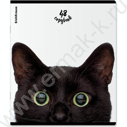 Тетрадь  48л клетка "Котики" /мат.лам. + выбор. УФ-лак /ассорти NEW | Фото 4