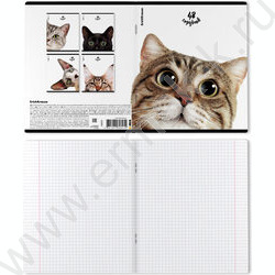Тетрадь  48л клетка "Котики" /мат.лам. + выбор. УФ-лак /ассорти NEW | Фото 7