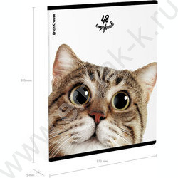 Тетрадь  48л клетка "Котики" /мат.лам. + выбор. УФ-лак /ассорти NEW | Фото 8