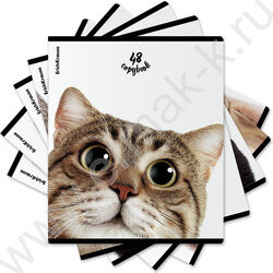 Тетрадь  48л клетка "Котики" /мат.лам. + выбор. УФ-лак /ассорти NEW | Фото 9