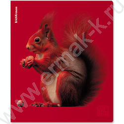 Тетрадь  48л клетка "Scarlet" /лам. soft-touch + выбор. УФ-лак /ассорти NEW | Фото 4