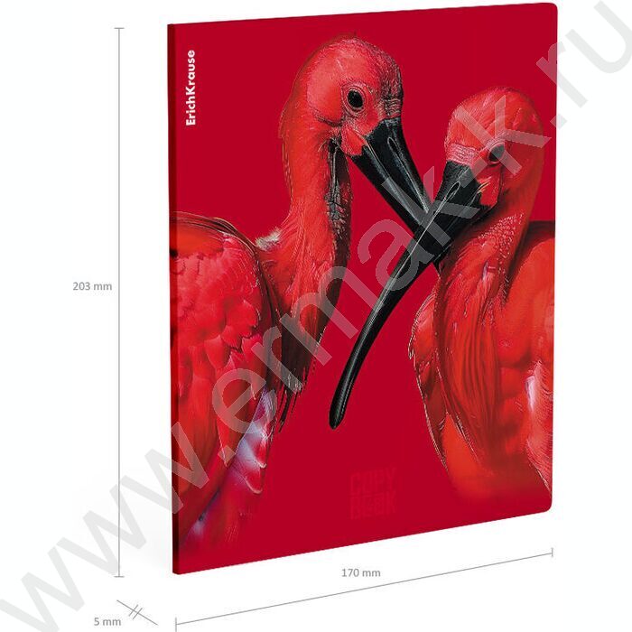 Тетрадь  48л клетка "Scarlet" /лам. soft-touch + выбор. УФ-лак /ассорти | Фото 8
