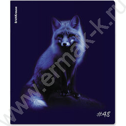 Тетрадь  48л клетка "Indigo" /лам. soft-touch + выбор. УФ-лак /ассорти NEW | Фото 5