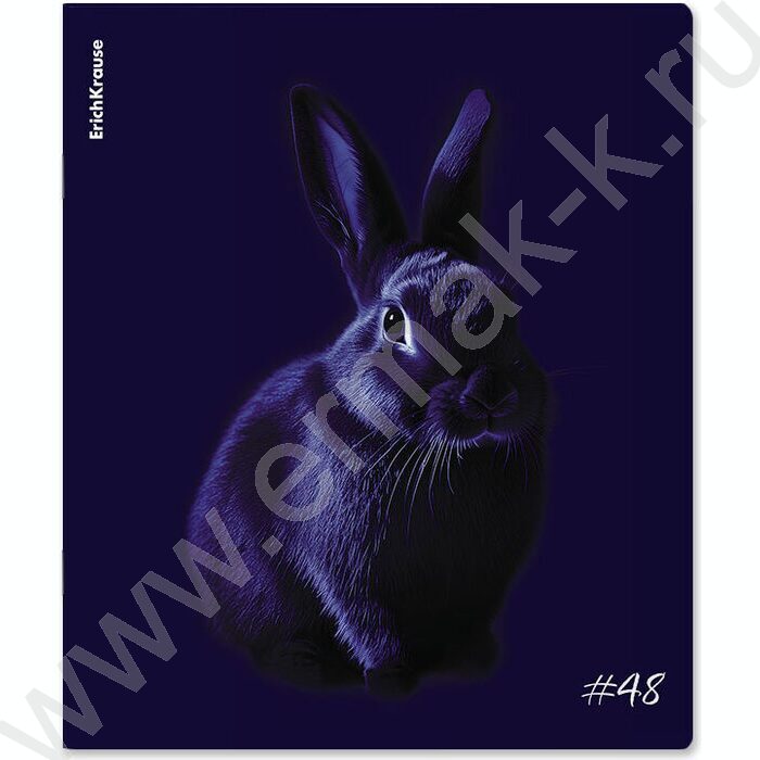 Тетрадь  48л клетка "Indigo" /лам. soft-touch + выбор. УФ-лак /ассорти | Фото 6